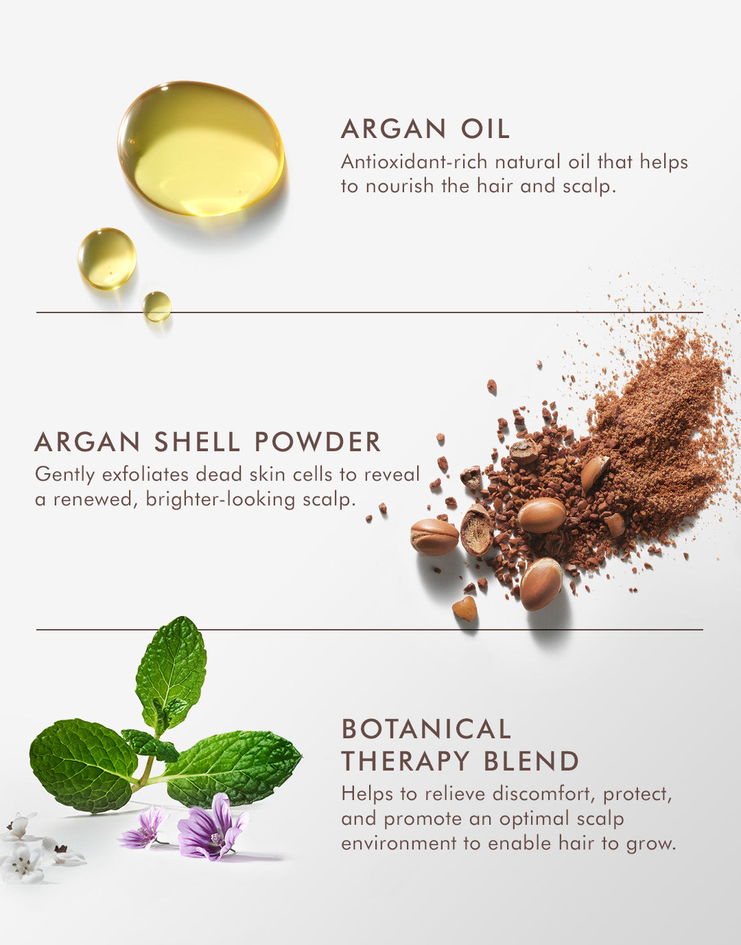 Purifying and Exfoliating Scalp Scrub